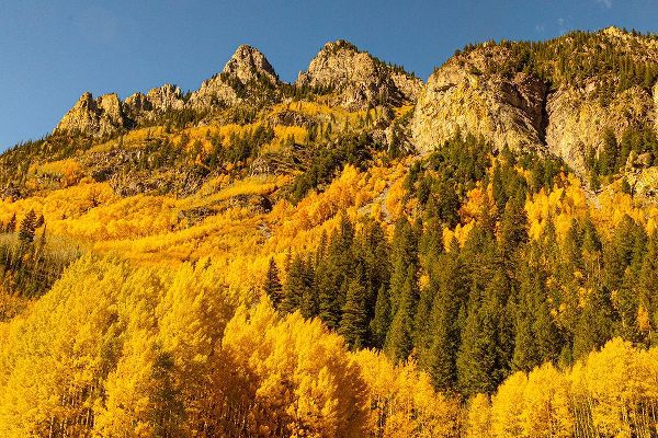 Ostrowitz, Mallorie 아티스트의 Maroon Bells-Snowmass Wilderness in Aspen-Colorado in autumn작품입니다.